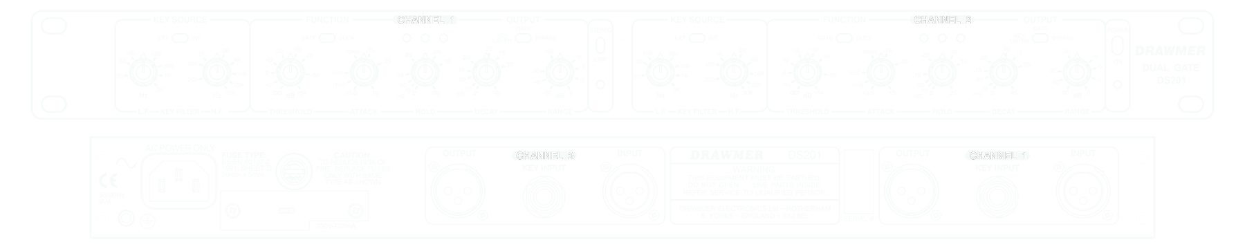 A line drawing of the front and rear panels of the DS201 showing controls and connectors